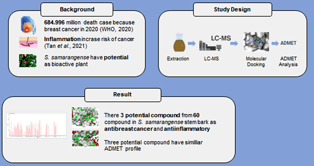 Graphical Abstract